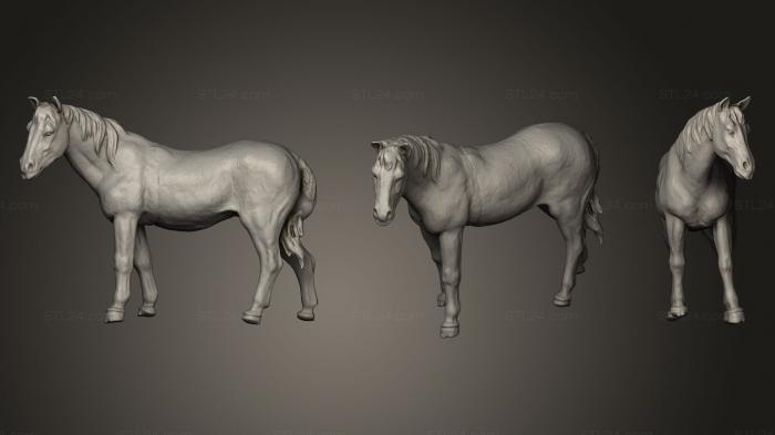 Статуэтки животных (Игрушка-Лошадка, STKJ_0394) 3D модель для ЧПУ станка